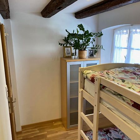 Le 128, Duplex Alsacien 10 Personnes, Piscine Διαμέρισμα Horbourg Εξωτερικό φωτογραφία