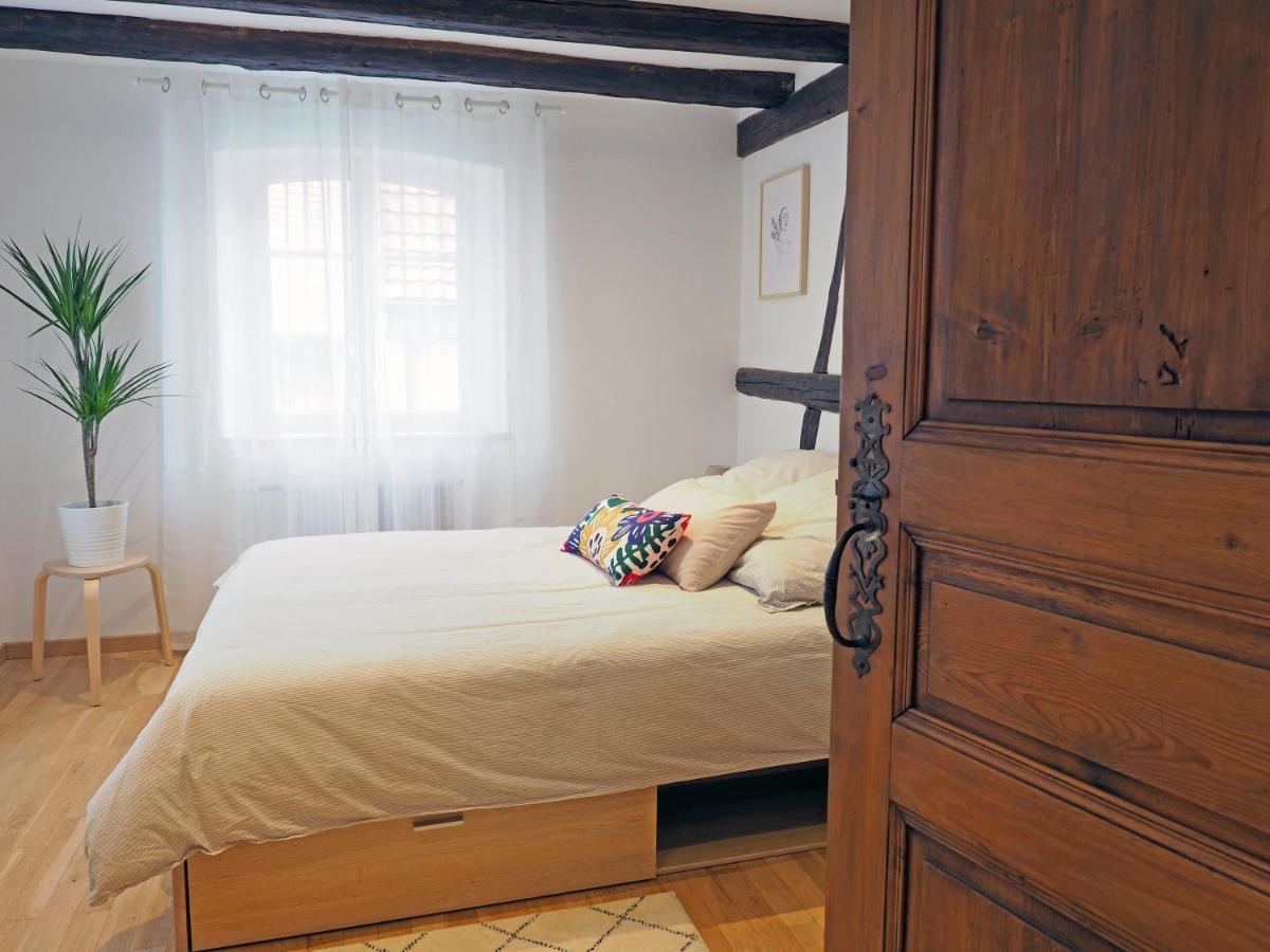 Le 128, Duplex Alsacien 10 Personnes, Piscine Διαμέρισμα Horbourg Εξωτερικό φωτογραφία