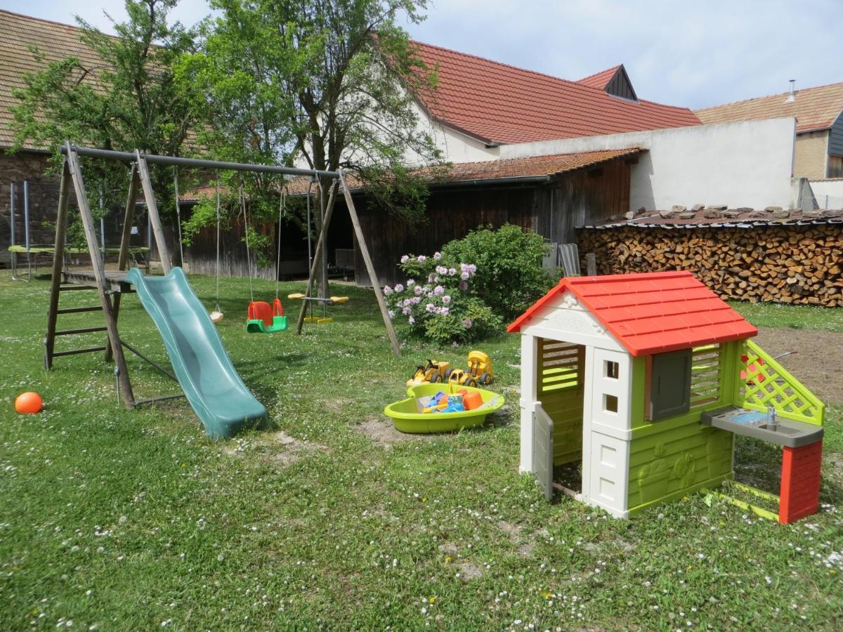 Le 128, Duplex Alsacien 10 Personnes, Piscine Διαμέρισμα Horbourg Εξωτερικό φωτογραφία