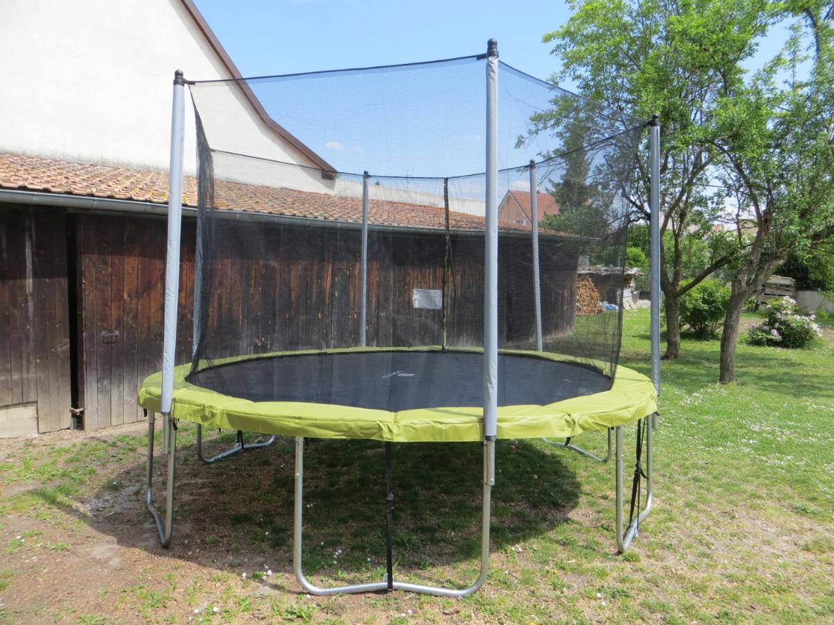 Le 128, Duplex Alsacien 10 Personnes, Piscine Διαμέρισμα Horbourg Εξωτερικό φωτογραφία