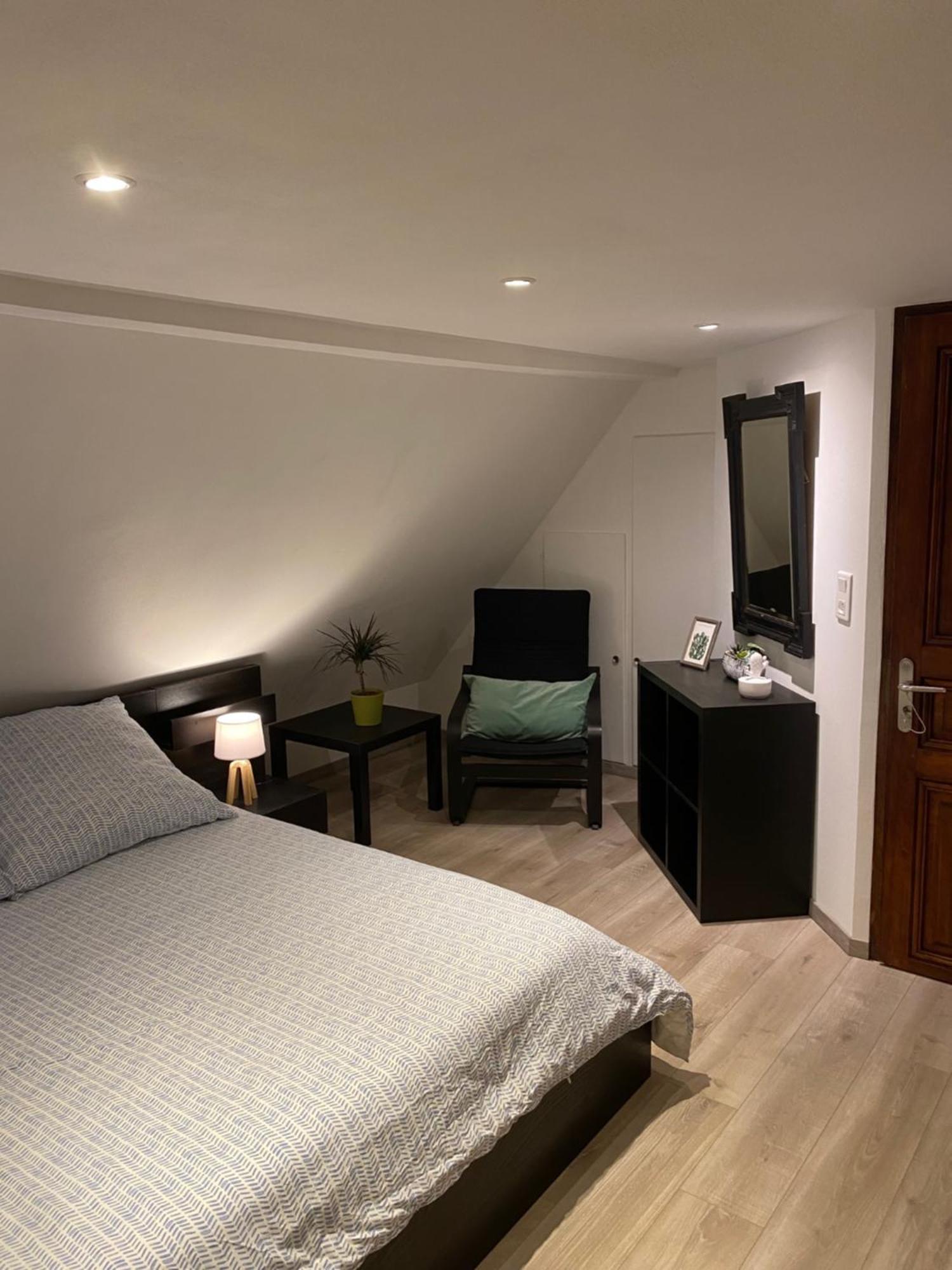 Le 128, Duplex Alsacien 10 Personnes, Piscine Διαμέρισμα Horbourg Εξωτερικό φωτογραφία